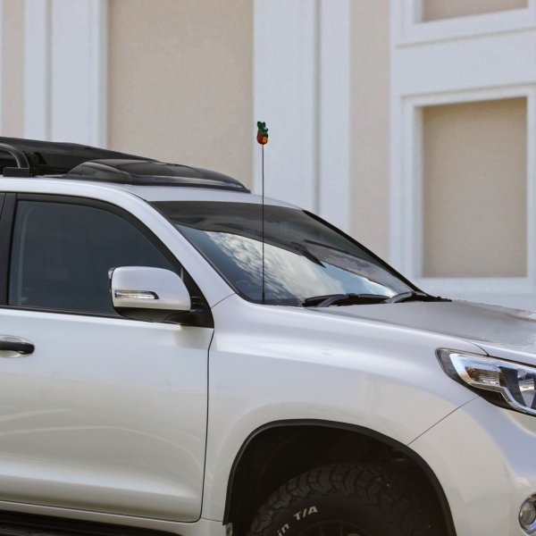 画像3: プラド150中期 用★ミディアム★USアンテナ キット (3)